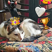 Victoire participe au concours pour gagner de l'argent avec cette photo : black_cat, cat, chair, colorful, cozy, crown, cushion, cute, decor, emoji_overlay, floral_pattern, furniture, heart_candle, indoor, kitten, peeking, pet, resting, trophy, white_cat