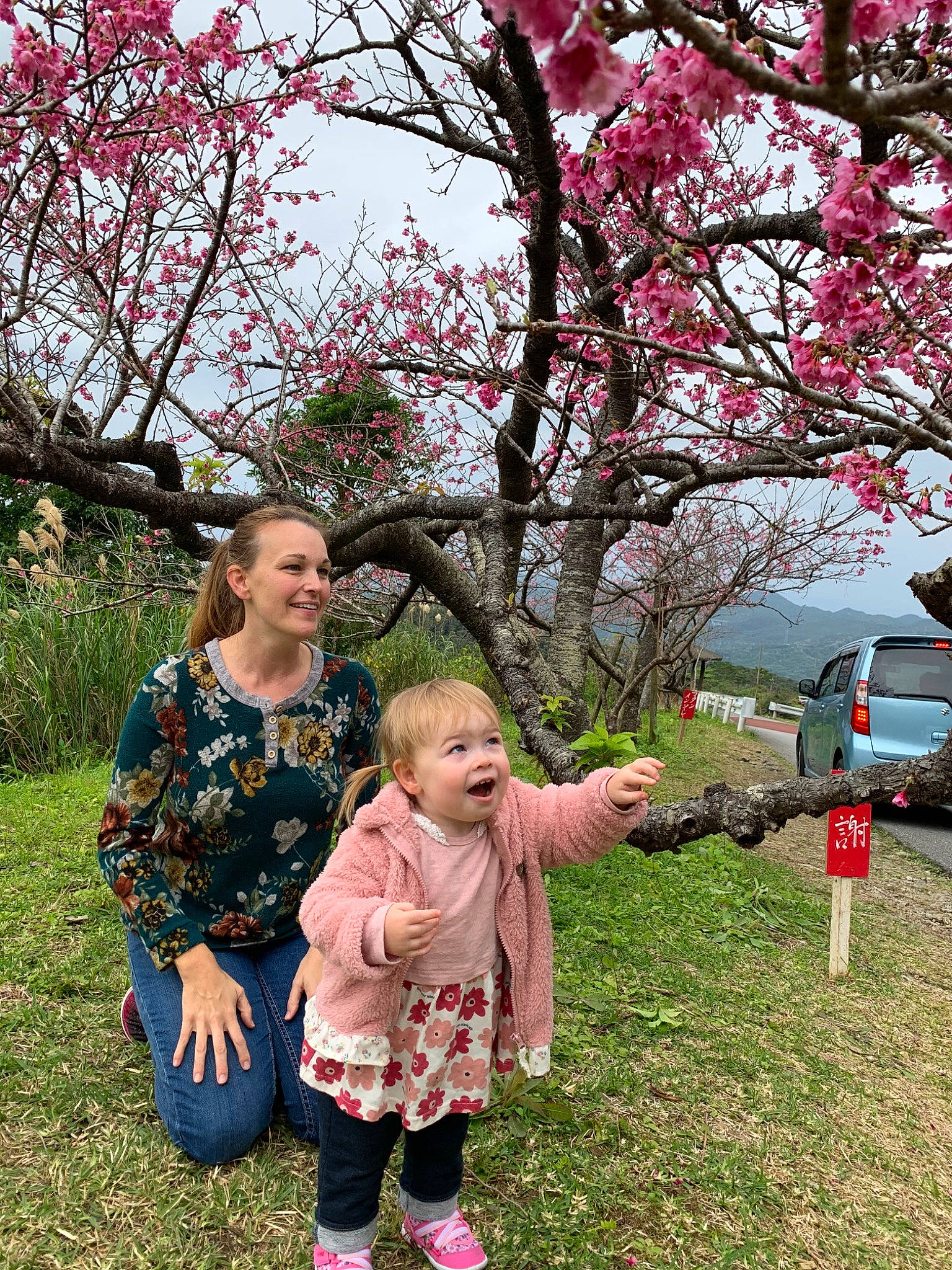 Ainsley is registered to the contest to win money with this photo: blossom, branch, cherry_blossom, child, flower, grass, joy, leisure, person, pink, plant, spring, tree