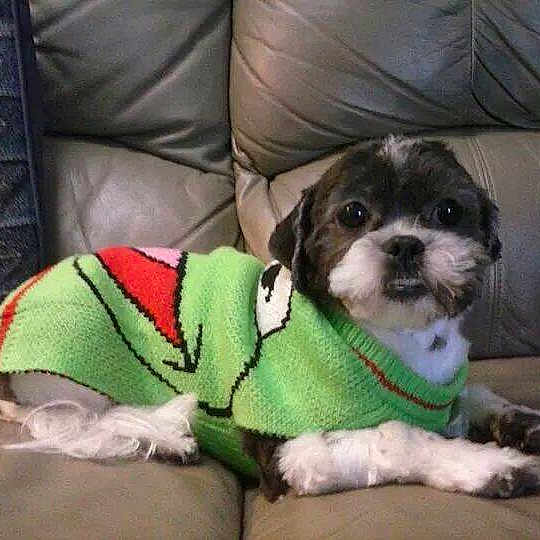 Suzie
