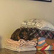 Taiga joined the competition — help win amazing prizes! cat, tortoiseshell_cat, towels, blankets, pillow, marble_countertop, wall, framed_artwork, indoor, resting, furniture, decor, cozy, pet, animal, household, stacked_items, calm, relaxed, comfortable