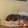 cat, tortoiseshell_cat, towels, blankets, pillow, marble_countertop, wall, framed_artwork, indoor, resting, furniture, decor, cozy, pet, animal, household, stacked_items, calm, relaxed, comfortable