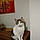 Pepito