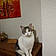 Pepito
