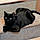 Salem
