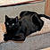 Salem