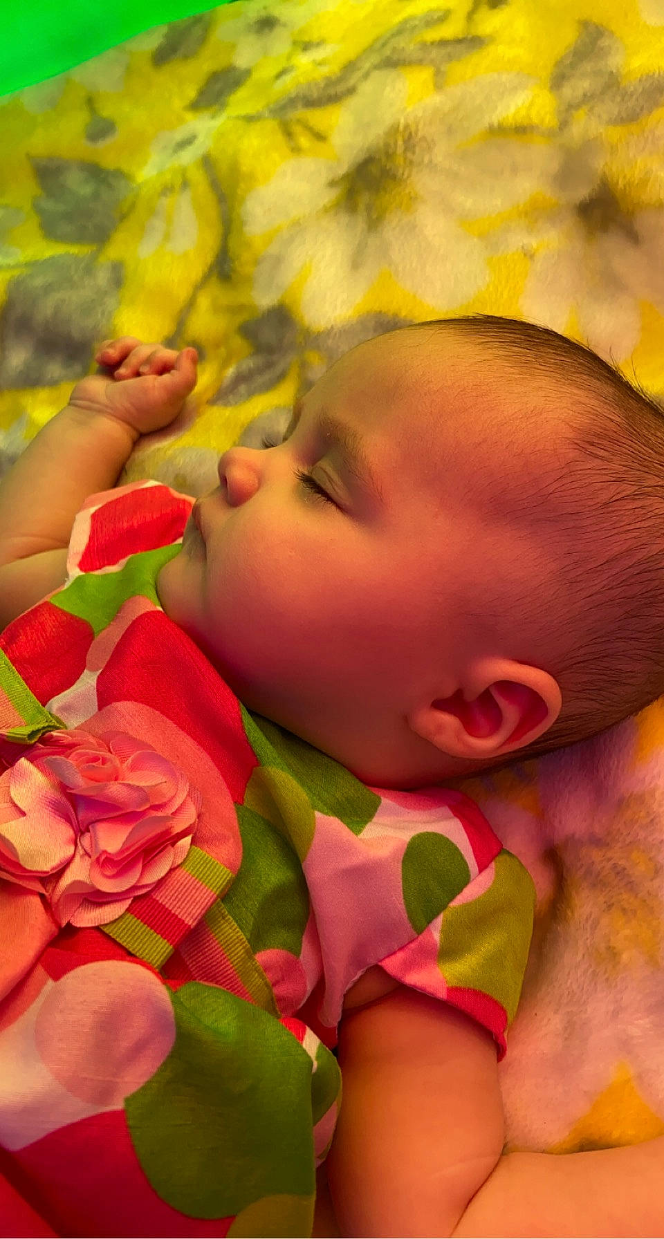 Mckayla is registered to the contest to win money with this photo: arm, botany, cheek, facial_expression, hand, happy, human_body, leaf, lip, mouth, muscle, nature, nose, orange, organ, organism, people_in_nature, person, plant, skin