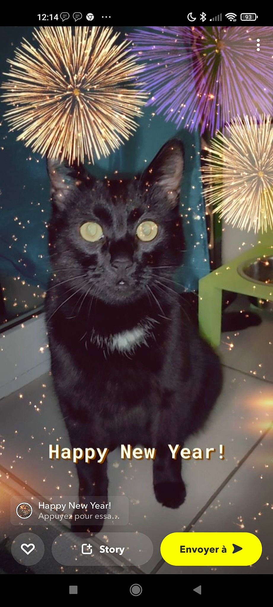 Philou a rejoint le concours — aidez-le/la à gagner de superbes lots ! art, black_cat, carnivore, cat, domestic_short_haired_cat, electric_blue, event, felidae, fireworks, font, fur, graphics, light, organism, photo_caption, small_to_medium_sized_cats, snout, tail, terrestrial_animal, whiskers