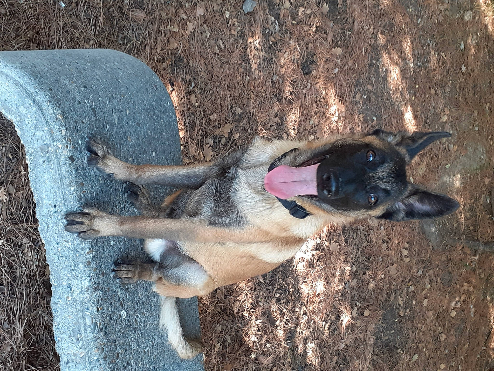 Tayko