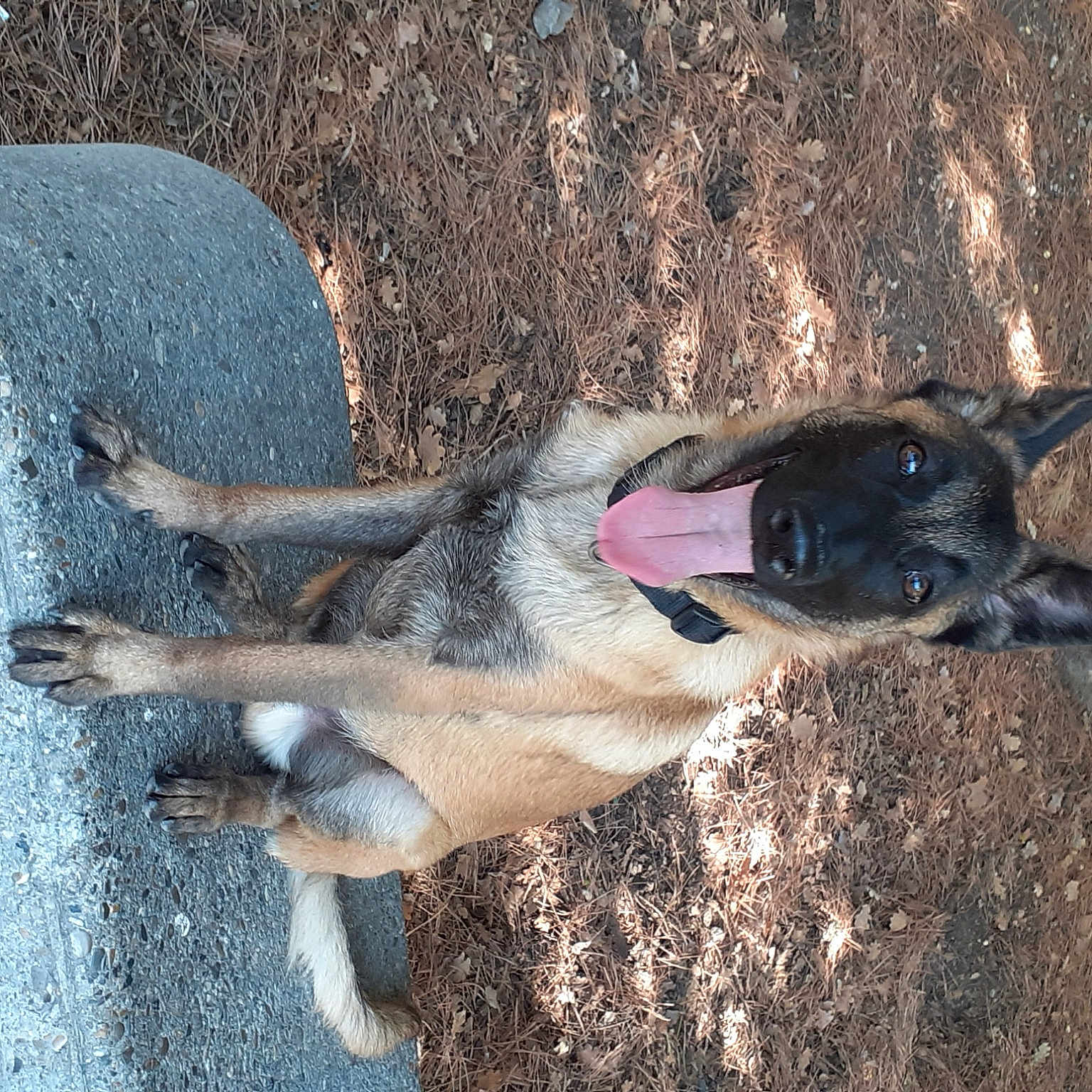 Tayko
