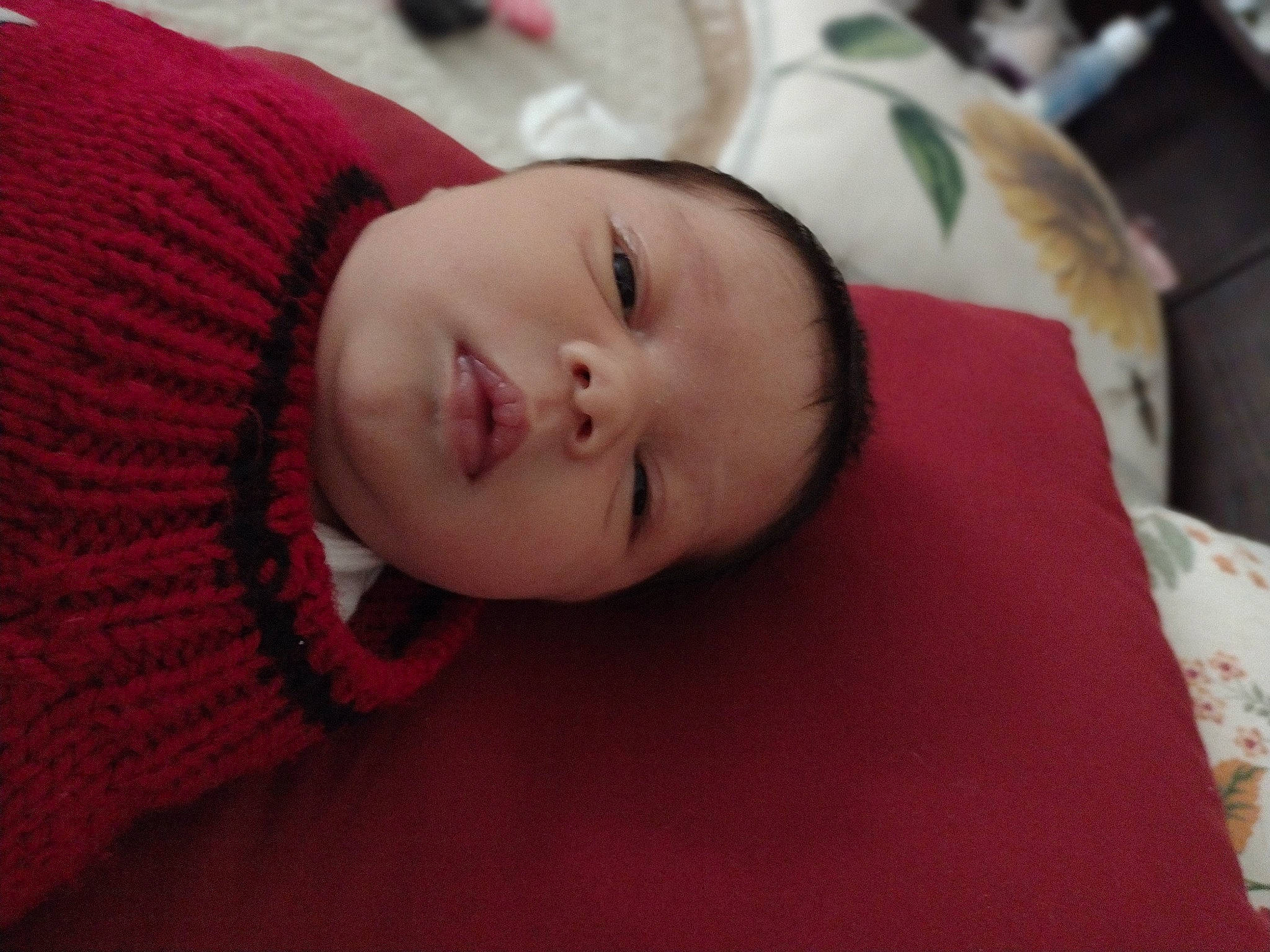 Carmen joined the competition — help win amazing prizes! baby, cheek, child, comfort, eyebrow, forehead, fun, fur, happy, iris, linens, lip, magenta, mouth, nose, person, room, sleeve, textile, toddler