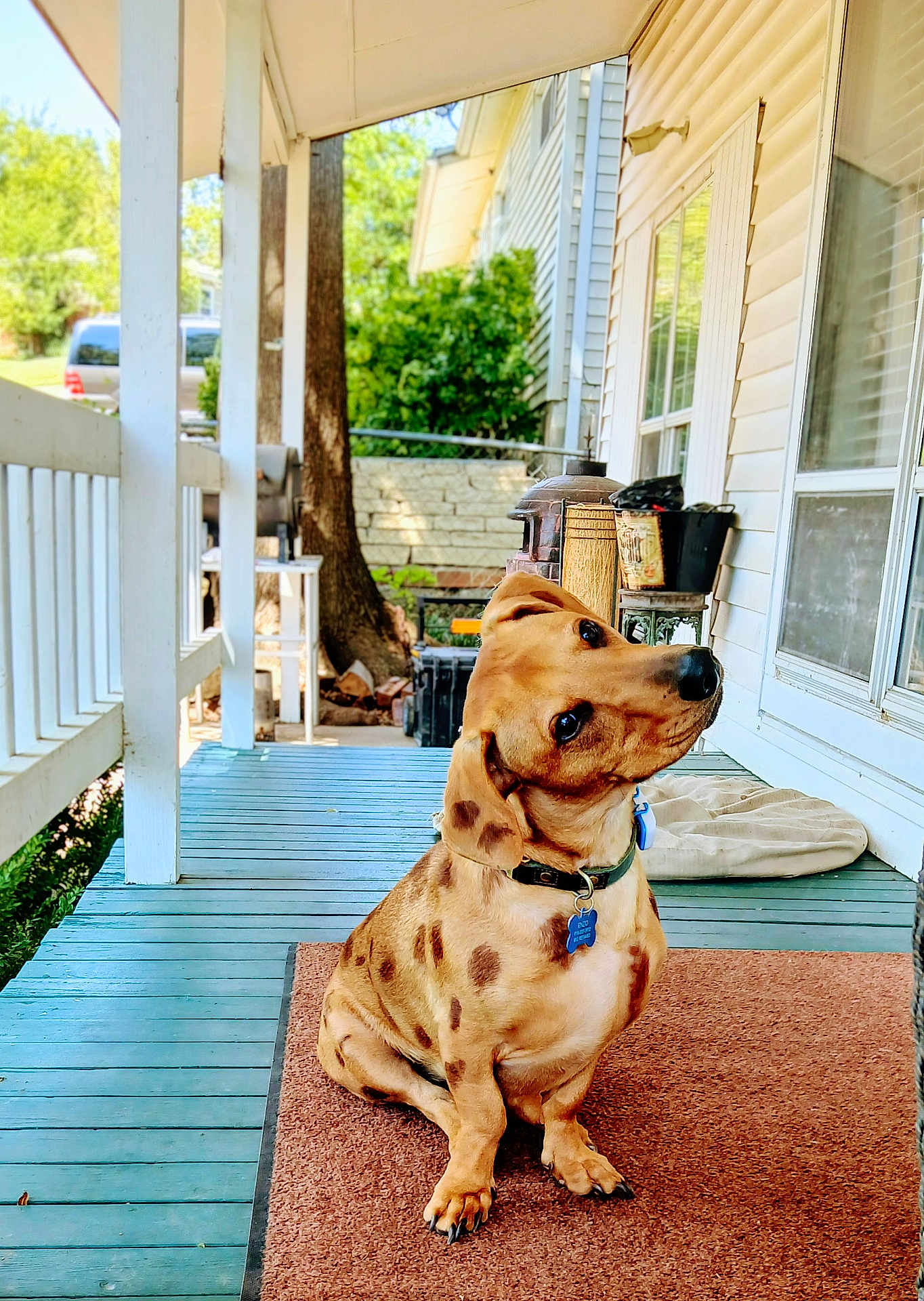 Enzo