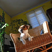 Heasy participe au concours pour gagner de l'argent avec cette photo :