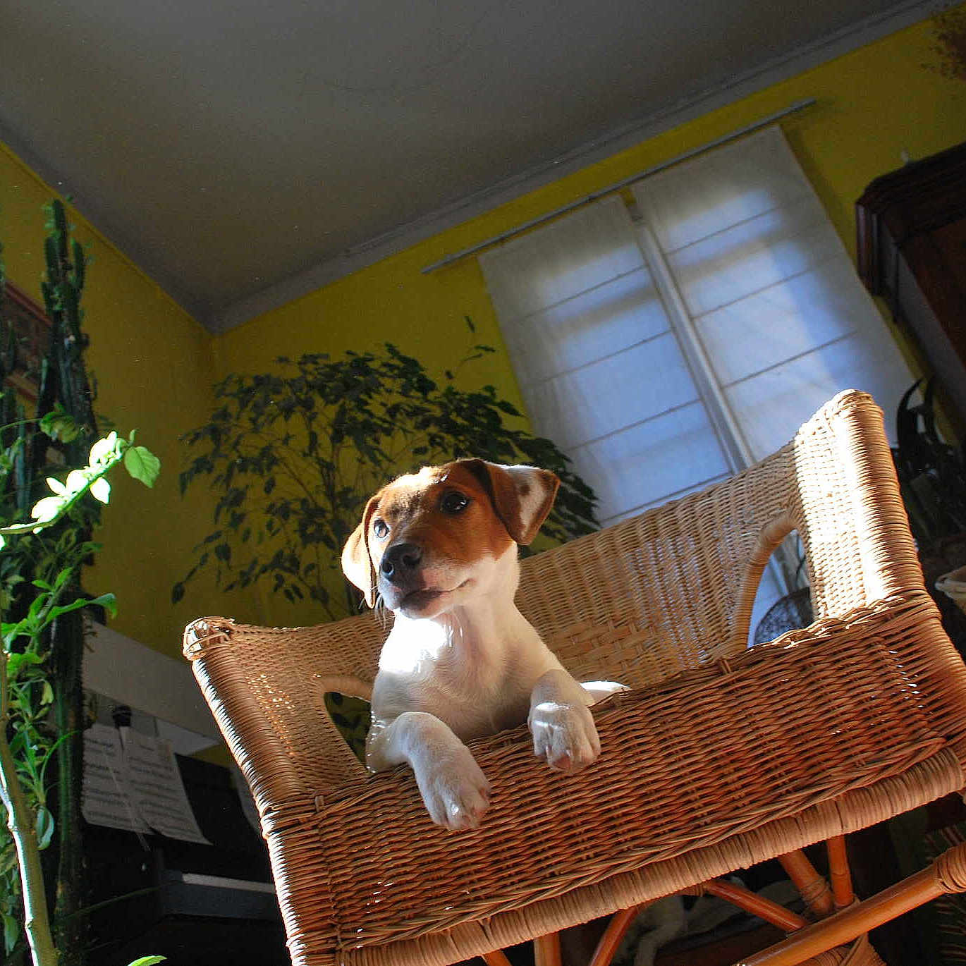 Heasy participe au concours pour gagner de l'argent avec cette photo :