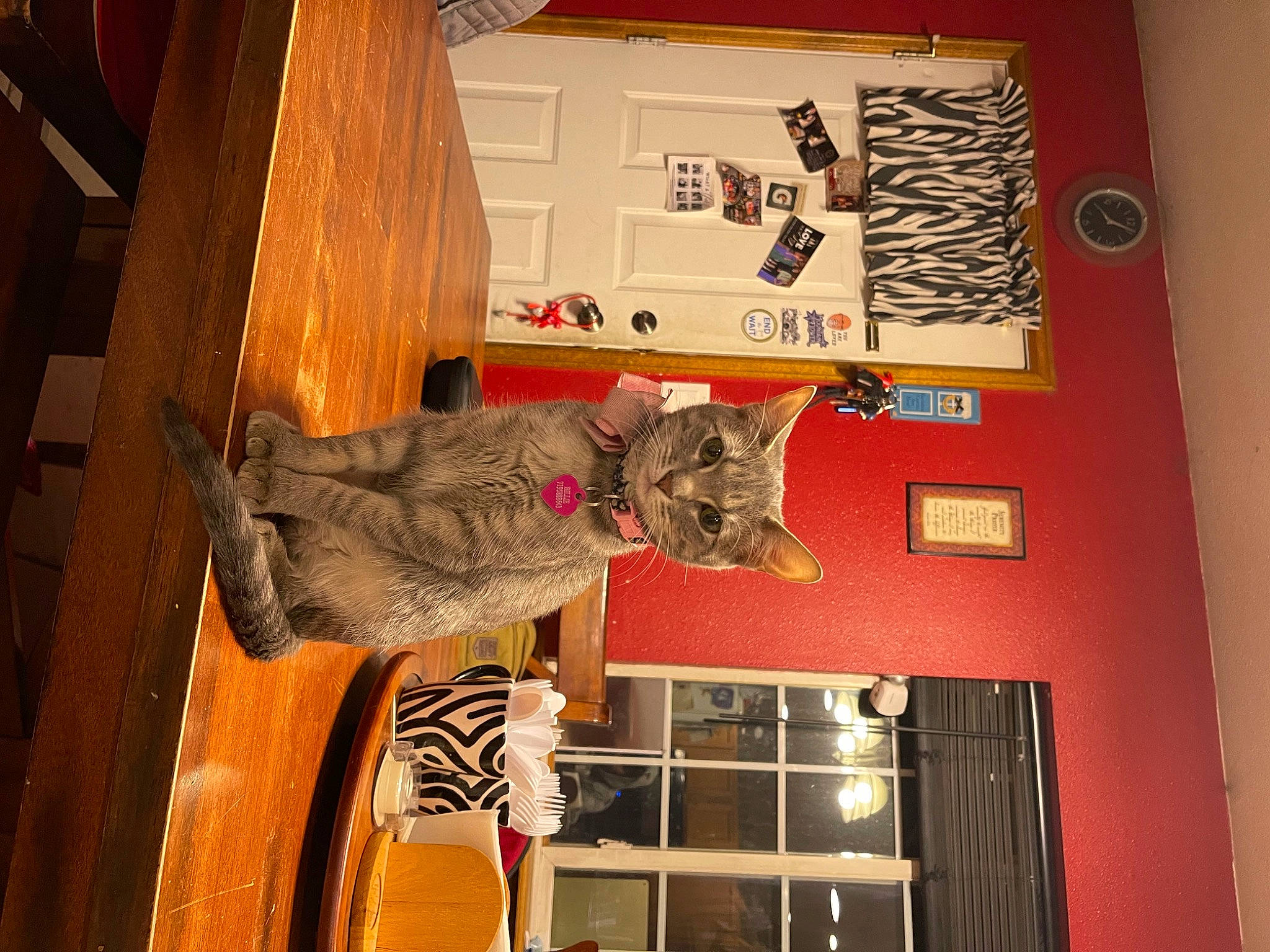 Billie Ross is registered to the contest to win money with this photo: art, carnivore, cat, curtain, design, domestic_short_haired_cat, felidae, fur, hardwood, military_camouflage, pattern, room, shelf, shelving, small_to_medium_sized_cats, visual_arts, wall, whiskers, window, wood