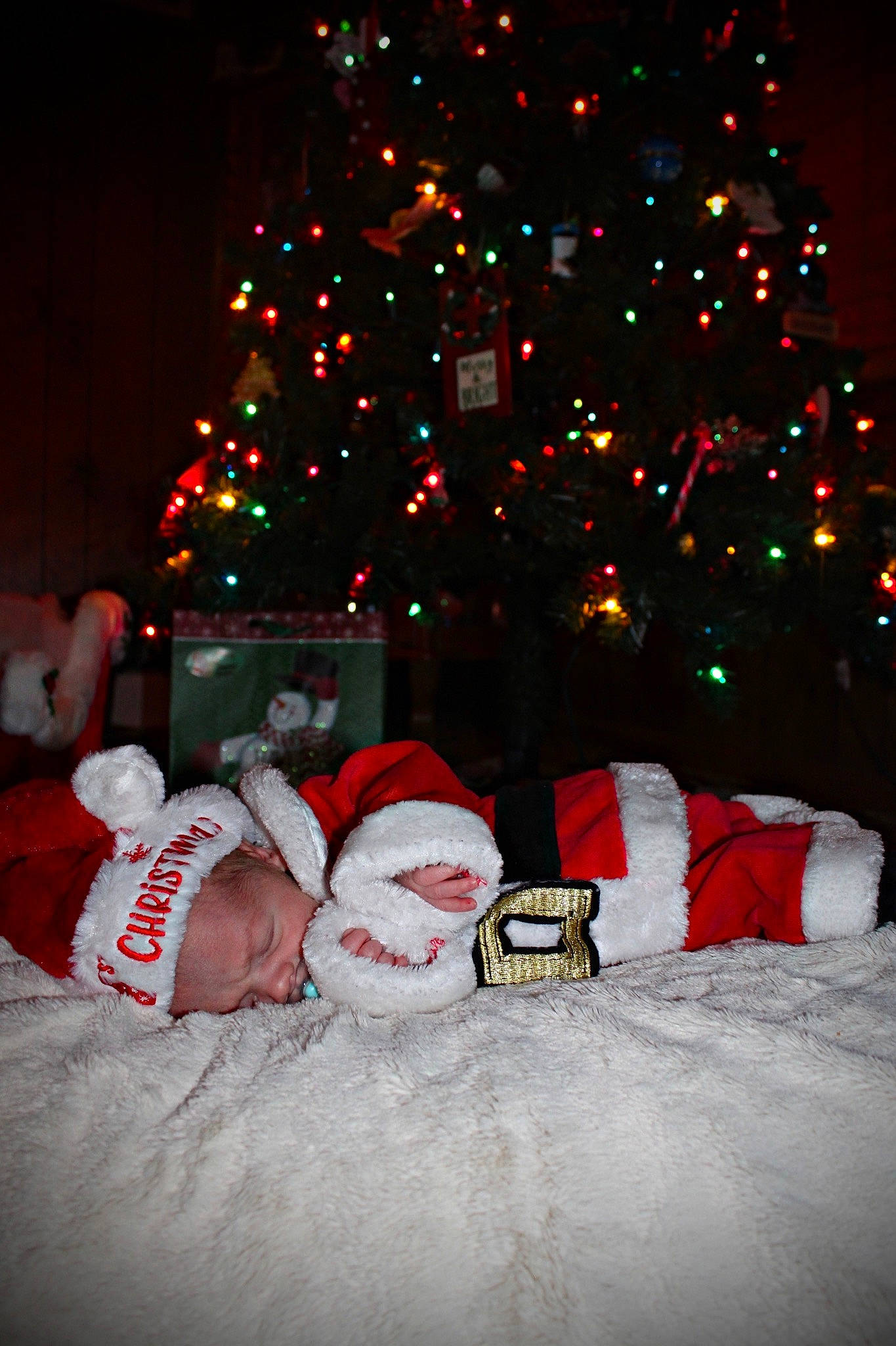 Canaan is registered to the contest to win money with this photo: christmas, christmas_decoration, christmas_eve, christmas_lights, christmas_ornament, christmas_tree, conifer, event, evergreen, fun, happy, holiday, holiday_ornament, ornament, person, plant, red, tints_and_shades, tree, winter