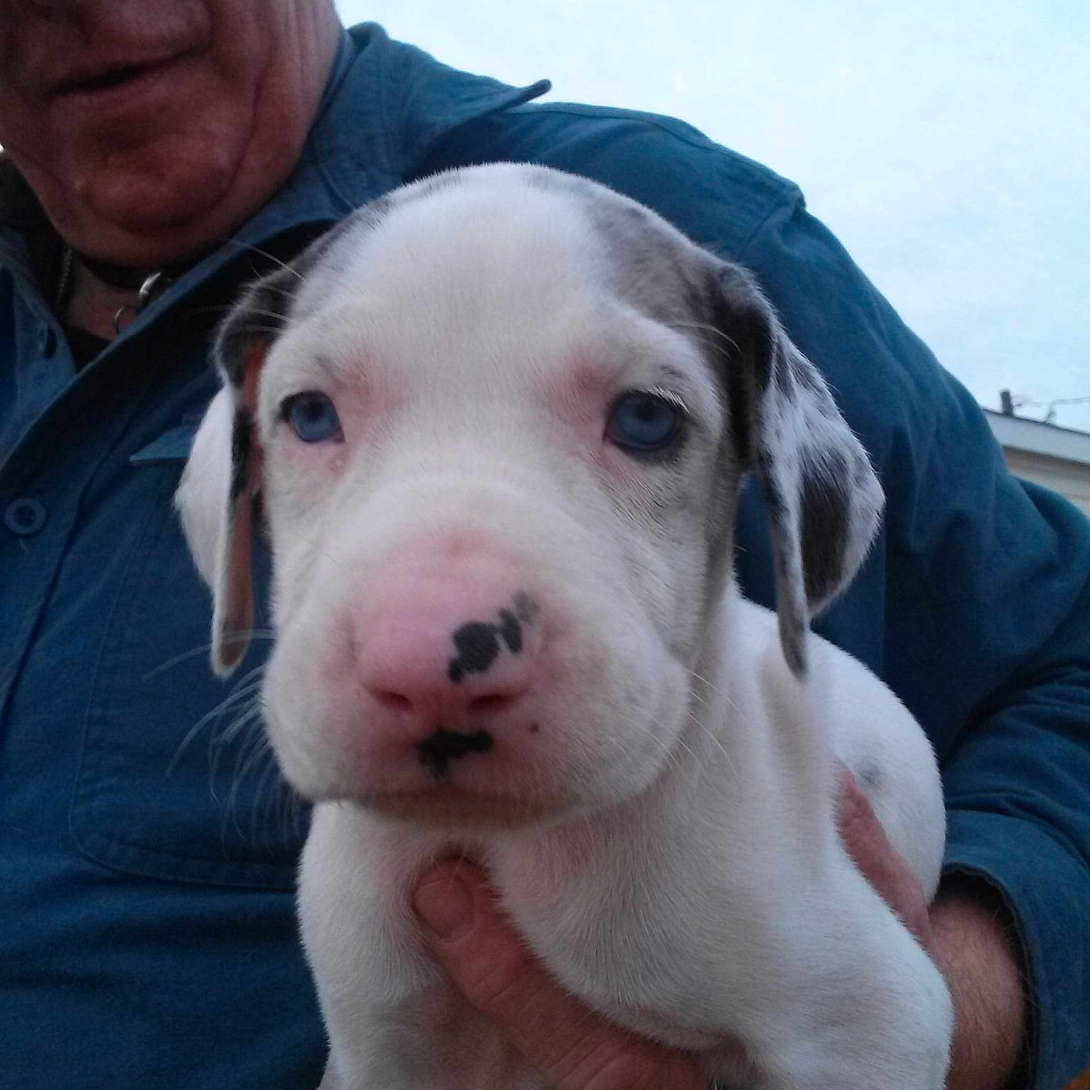 Lorali joined the competition — help win amazing prizes!