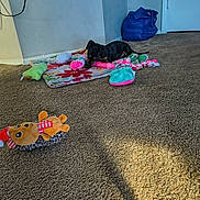 Estrella joined the competition — help win amazing prizes! dog, puppy, blanket, plush_toys, carpet, indoor, toy, black_dog, tan_dog, blue_bag, corner, wall, door, shadow, colorful, floor, small_dog, laying_down, chewing, pet