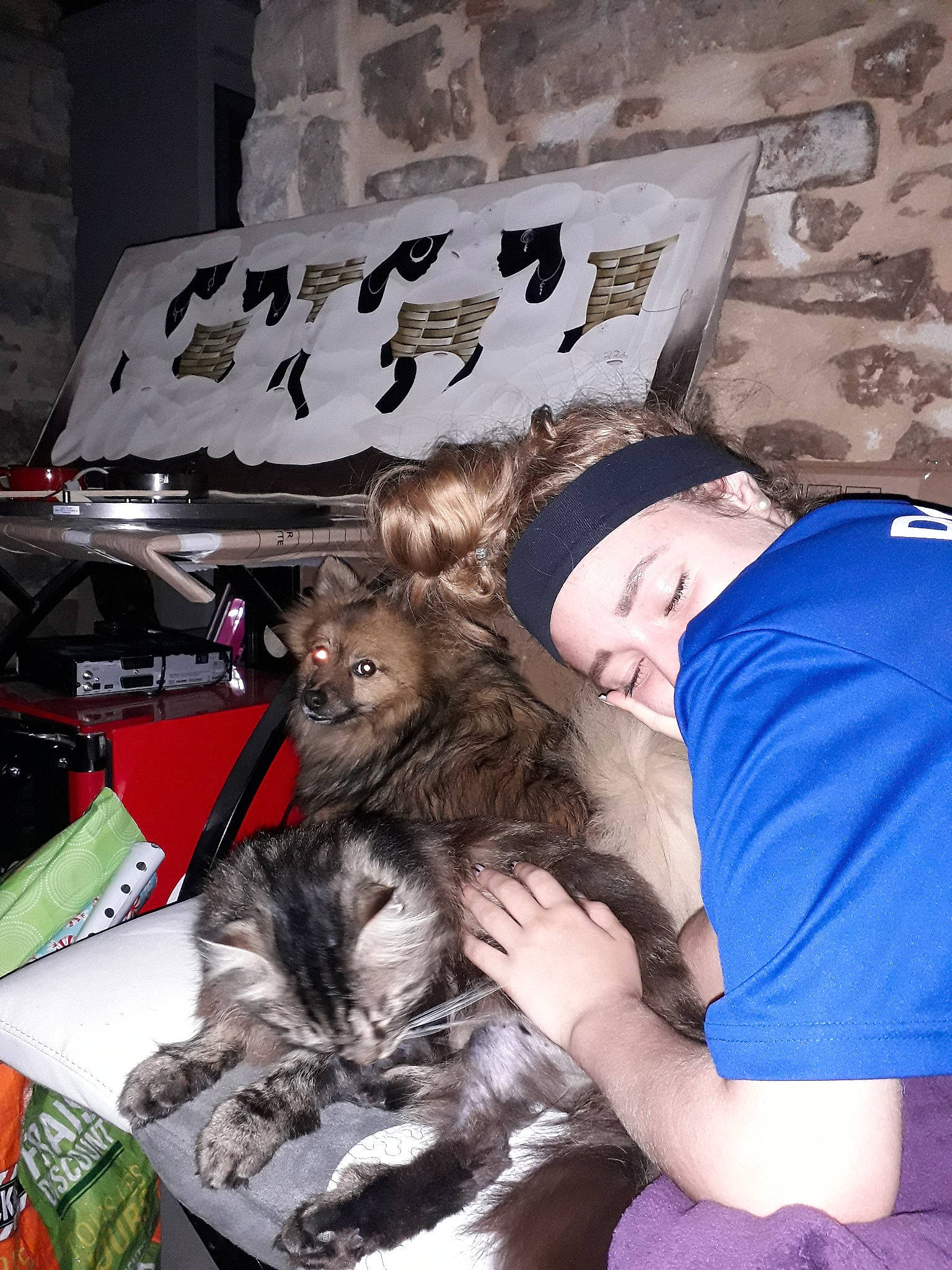 Muesli participe au concours pour gagner de l'argent avec cette photo : carnivore, cat, felidae, sporting_group