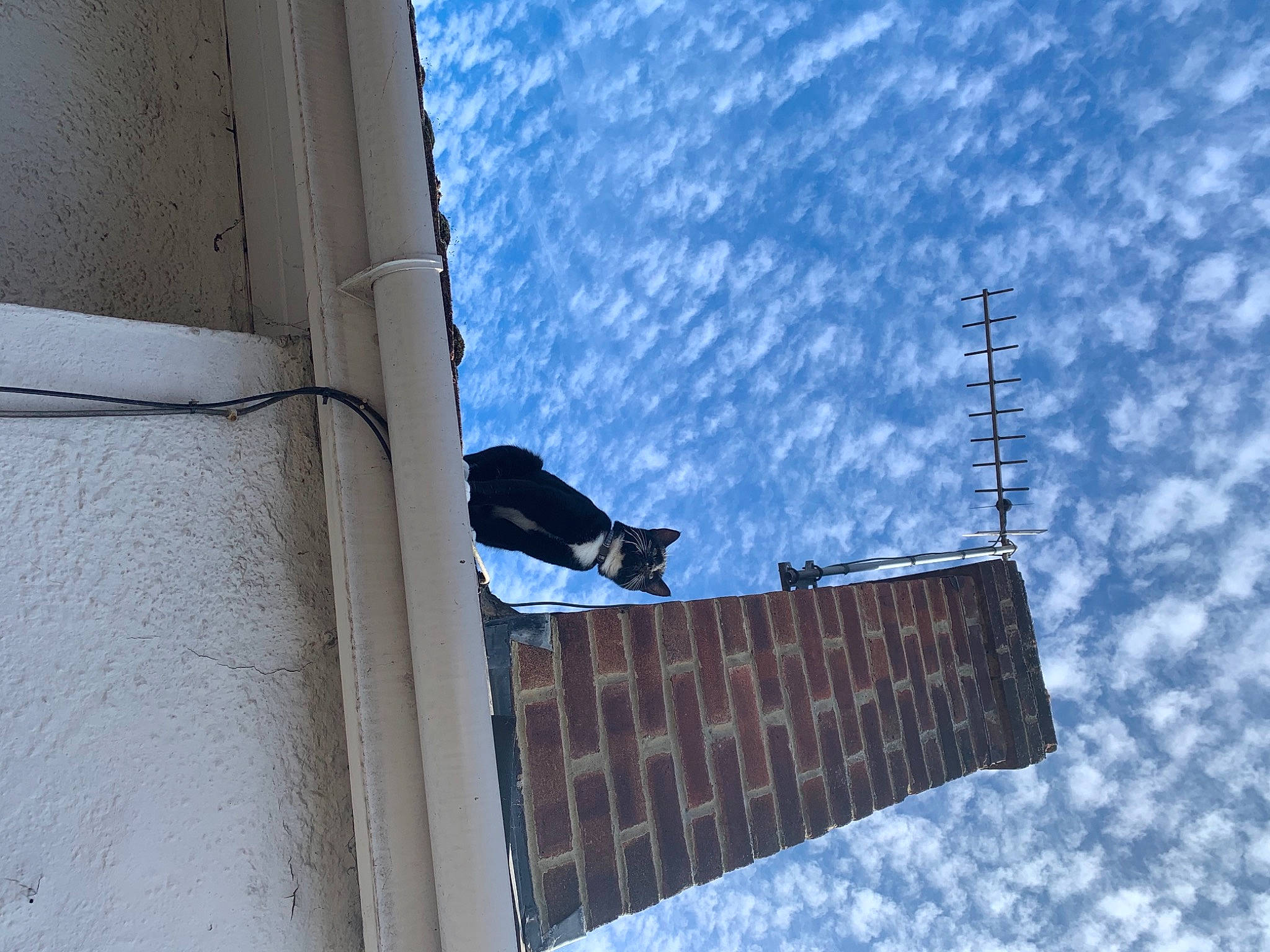 James is registered to the contest to win money with this photo: adventure, art, azure, building, city, cloud, composite_material, cumulus, electric_blue, facade, house, monument, roof, sculpture, shadow, sky, window, winter, wood, world