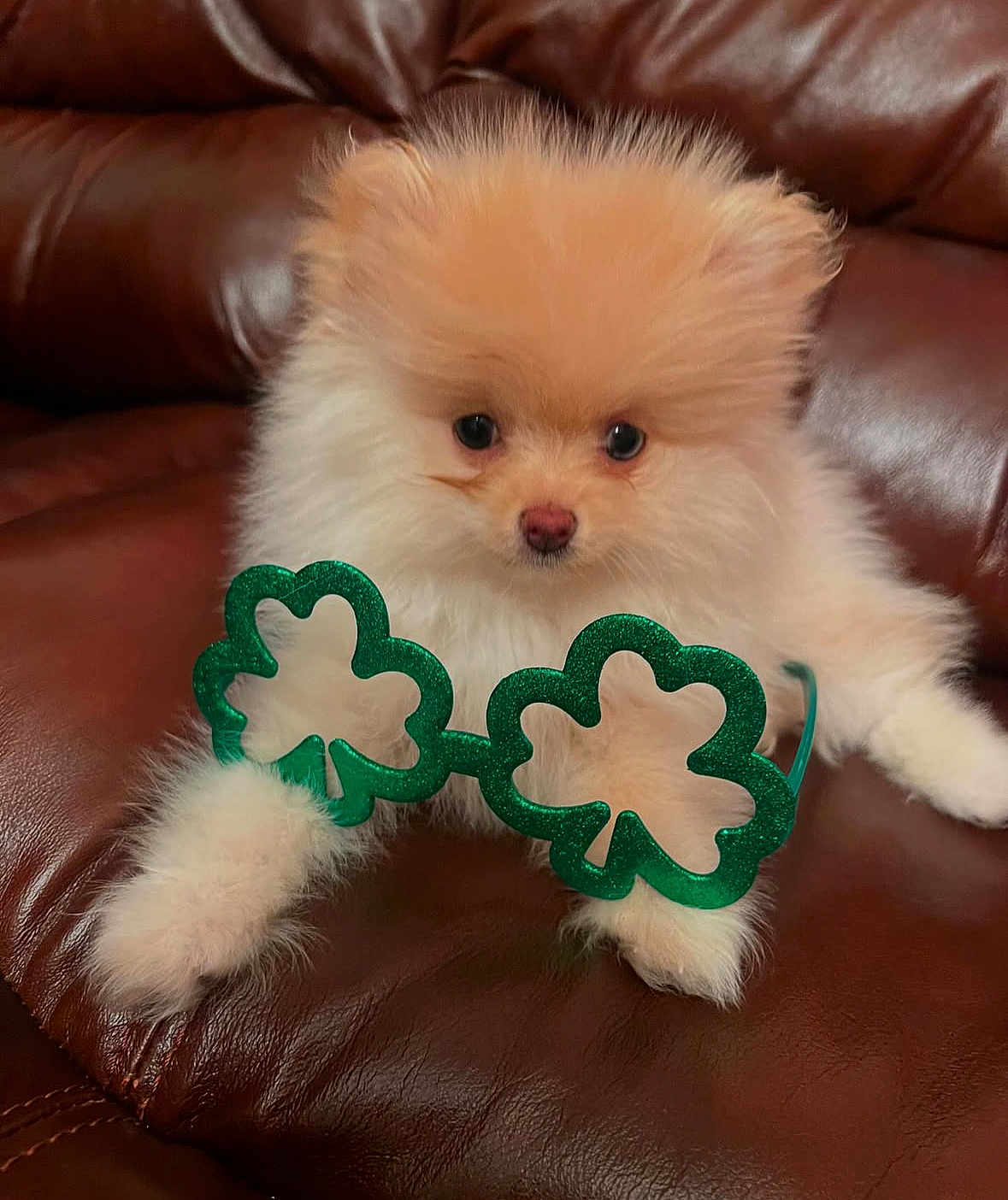Lucky