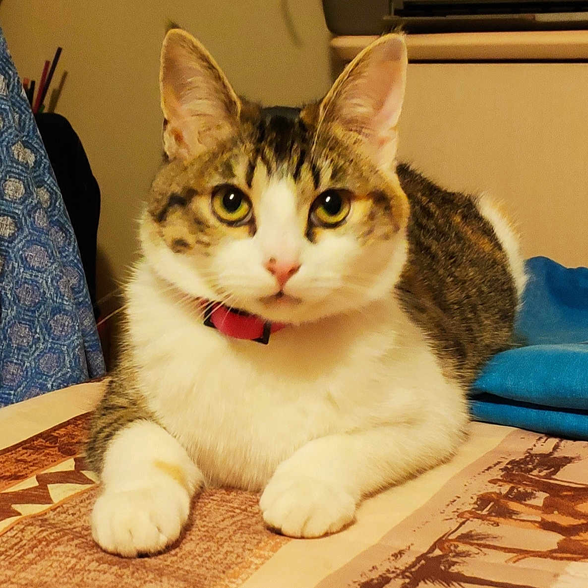 Ori