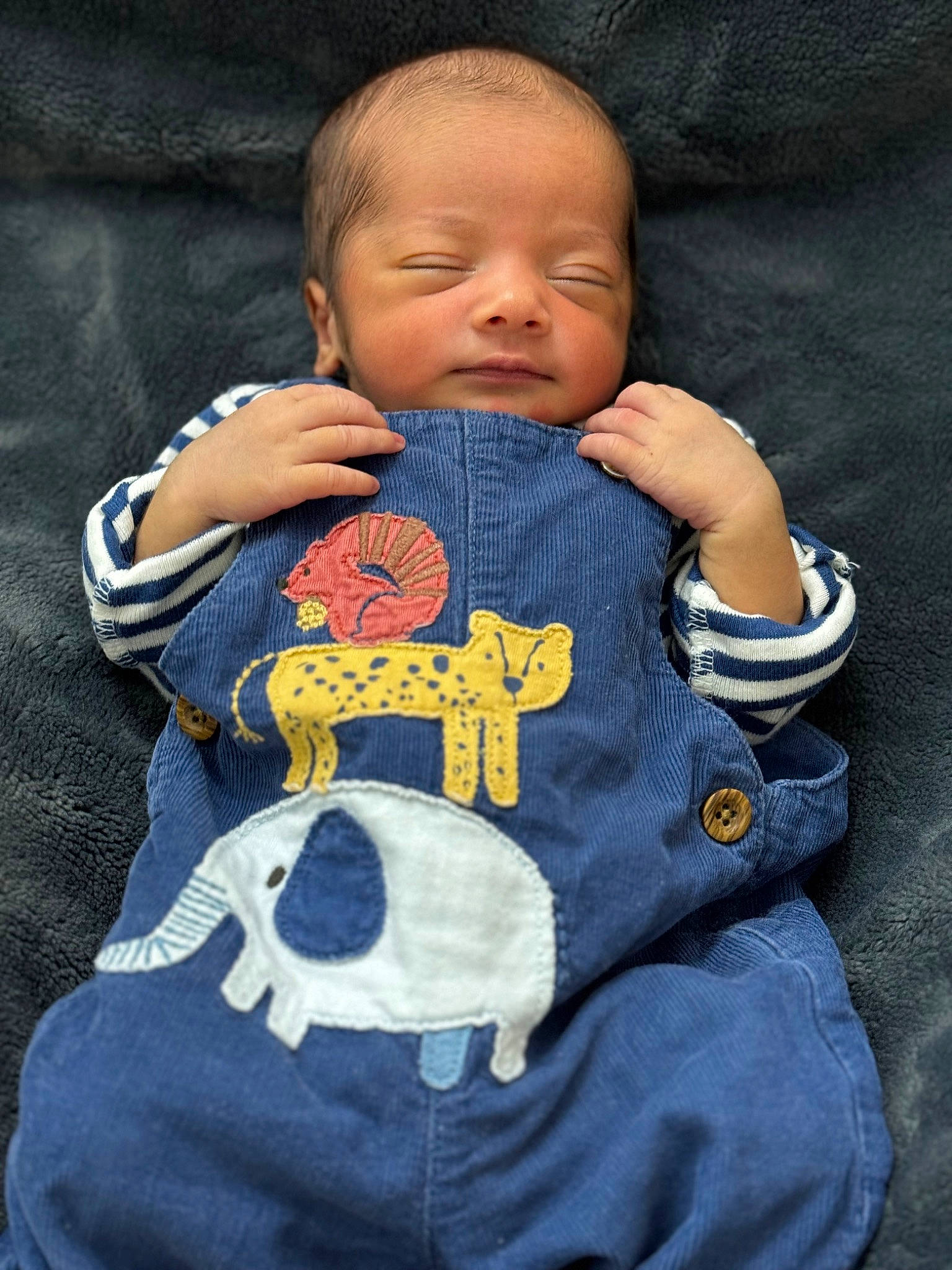 Ishan is registered to the contest to win money with this photo: baby, baby_products, baby_sleeping, baby_toddler_clothing, cheek, child, collar, comfort, electric_blue, eye, happy, head, linens, pattern, person, product, skin, sleeve, textile, thumb