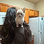 kitten, cat, pet, shoulder, person, long_hair, kitchen, refrigerator, wooden_cabinets, indoor, gray_shirt, appliance, curious, cute, small, animal, fur, ears, domestic, young
