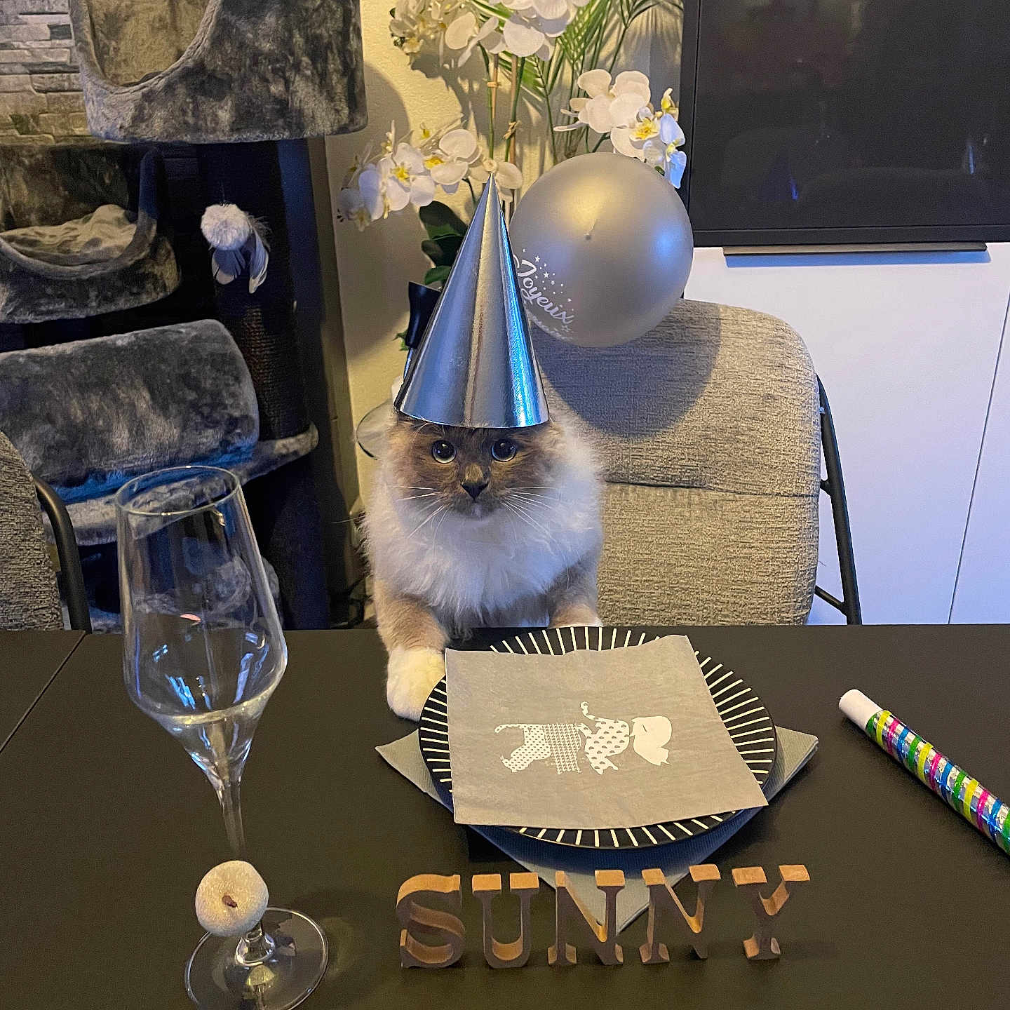 Clara Le Roux a rejoint le concours — aidez-le/la à gagner de superbes lots ! balloon, cat, cat_tree, celebration, chair, cozy, decor, dining_table, flower, furry, glass, indoor, napkin, orchid, party, party_hat, pet, plate, tableware, wooden_letters