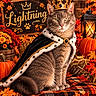 cat, gray_cat, crown, royal_costume, cape, fur_trim, autumn, fall, pumpkin, maple_leaves, flowers, chrysanthemums, lantern, hay_bales, rustic, outdoor, portrait, sitting, decorative_sign, dramatic_lighting