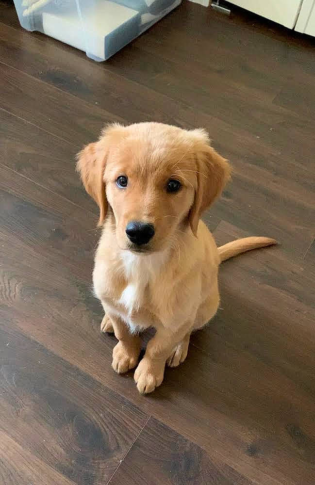 Barkley