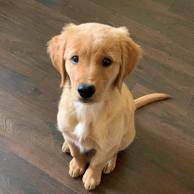 Barkley