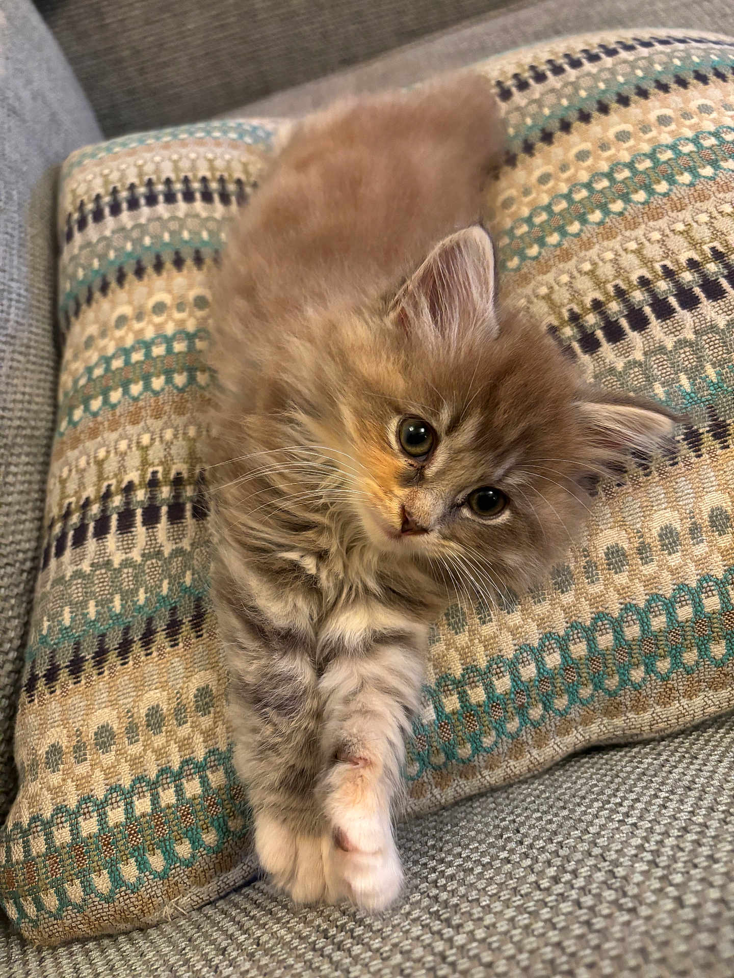 Flossy