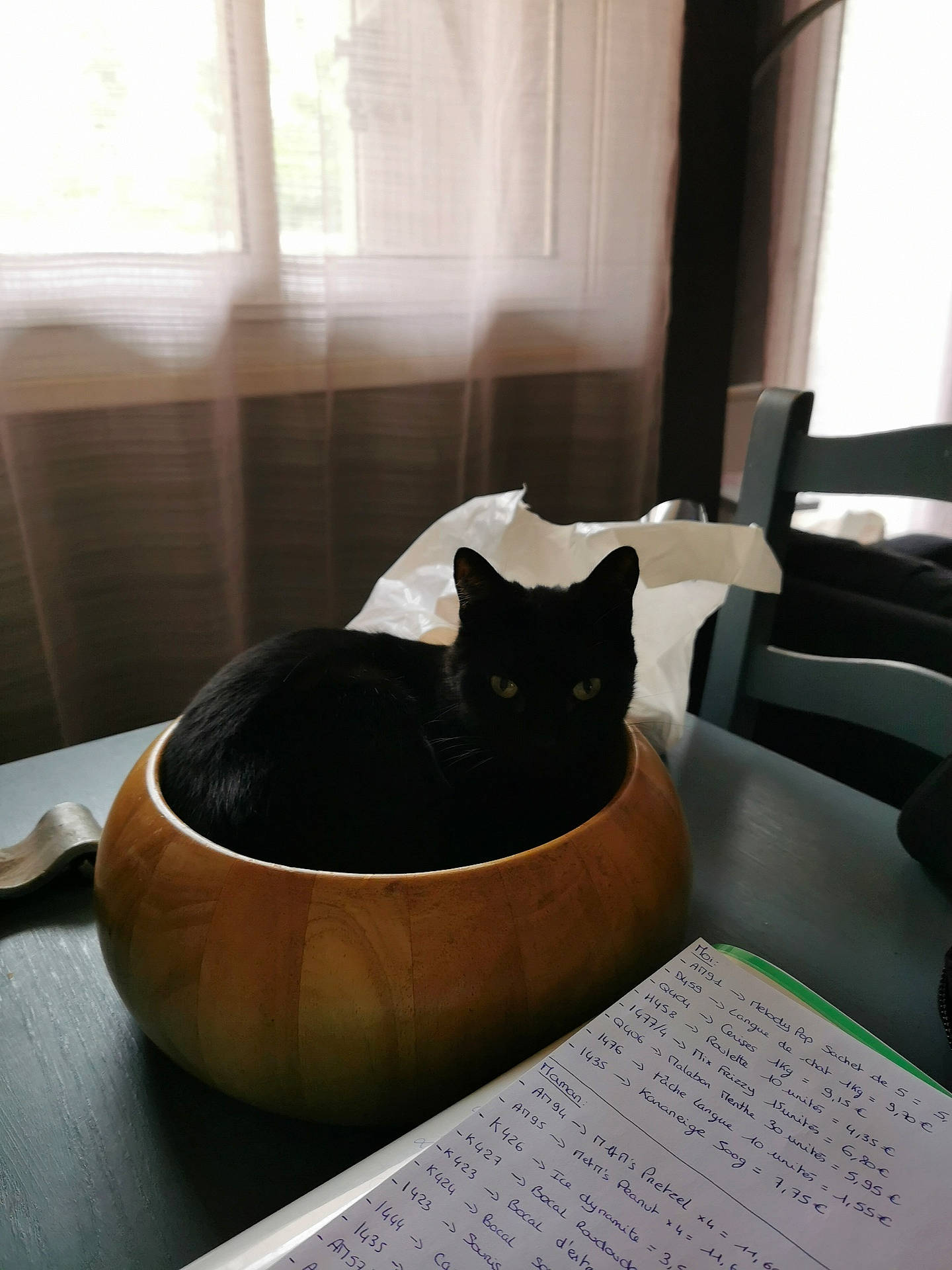 Canaille a rejoint le concours — aidez-le/la à gagner de superbes lots ! black_cat, bombay, carnivore, cat, cat_supply, comfort, felidae, floor, flooring, grey, handwriting, hardwood, interior_design, small_to_medium_sized_cats, snout, table, tail, whiskers, window, wood