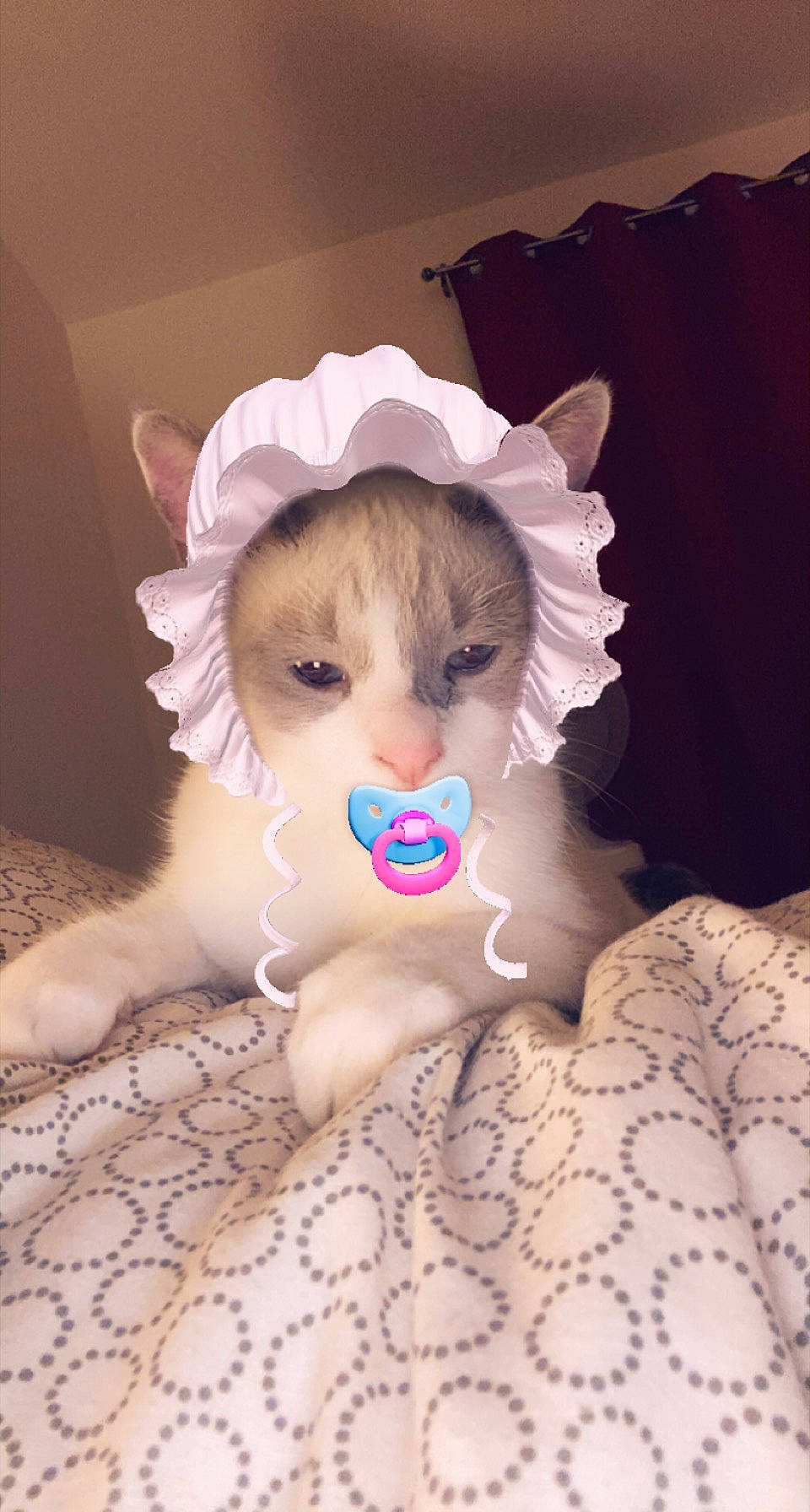 Sushi a rejoint le concours — aidez-le/la à gagner de superbes lots ! baby_toddler_clothing, cap, costume_hat, doll, eye, eyelash, fawn, fedora, fur, headband, headpiece, iris, jewellery, necklace, plush, stuffed_toy, sun_hat, textile, toy, wig