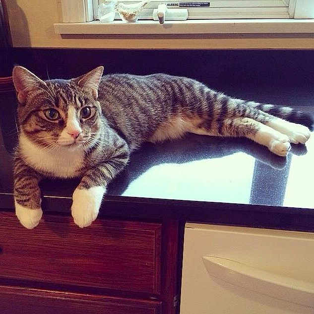 Carlton is registered to the contest to win money with this photo: