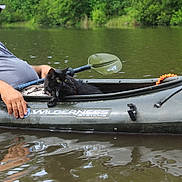 Gizmo joined the competition — help win amazing prizes! man, hat, glasses, beard, kayak, black_cat, water, paddle, nature, trees, outdoor, lake, reflection, animal, pet, relaxation, wildlife, summer, adventure, greenery