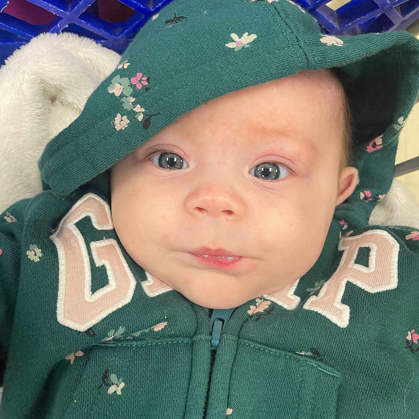 Lana is registered to the contest to win money with this photo: baby, baseballcap, bonnet, cap, clothing, coat, face, hat, head, hood, hoodie, jacket, knitwear, pants, person, photography, portrait, purple, sweater, sweatshirt