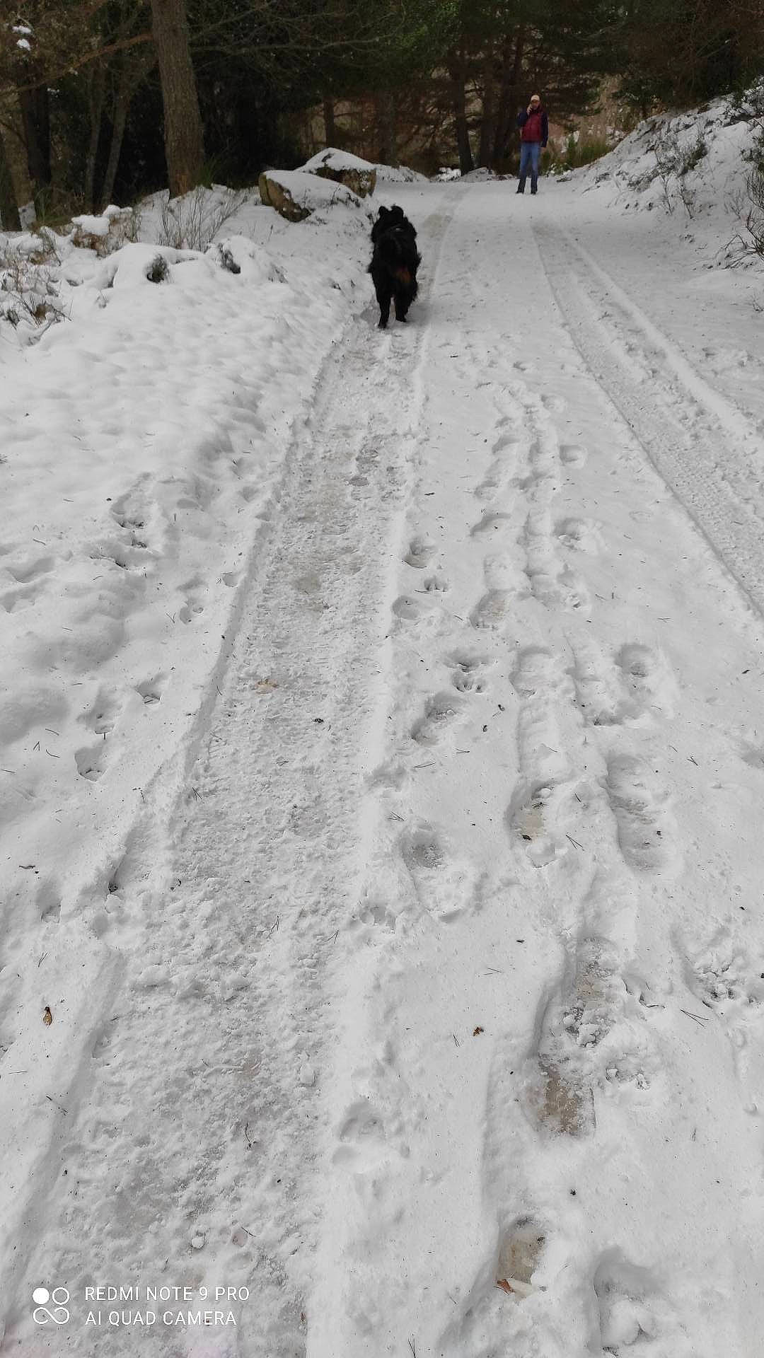 Chippy participe au concours pour gagner de l'argent avec cette photo : automotive_tire, event, footprint, freezing, frost, fun, geological_phenomenon, hiking, landscape, path, plant, precipitation, recreation, road, slope, snow, soil, trail, tree, winter