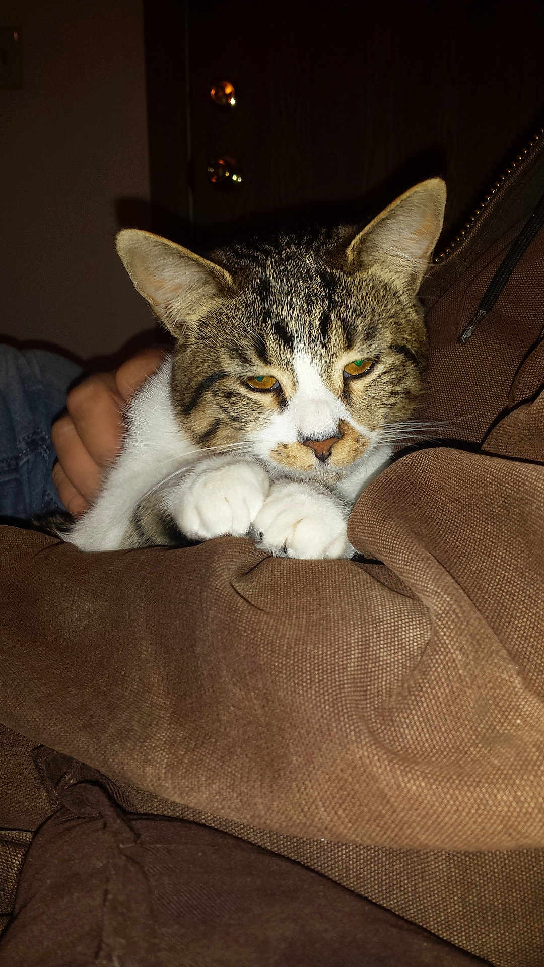 Carlos