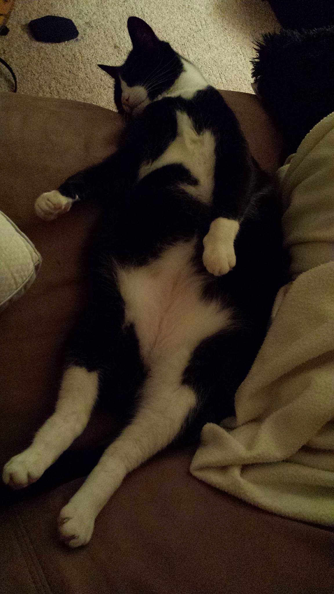 Carlos