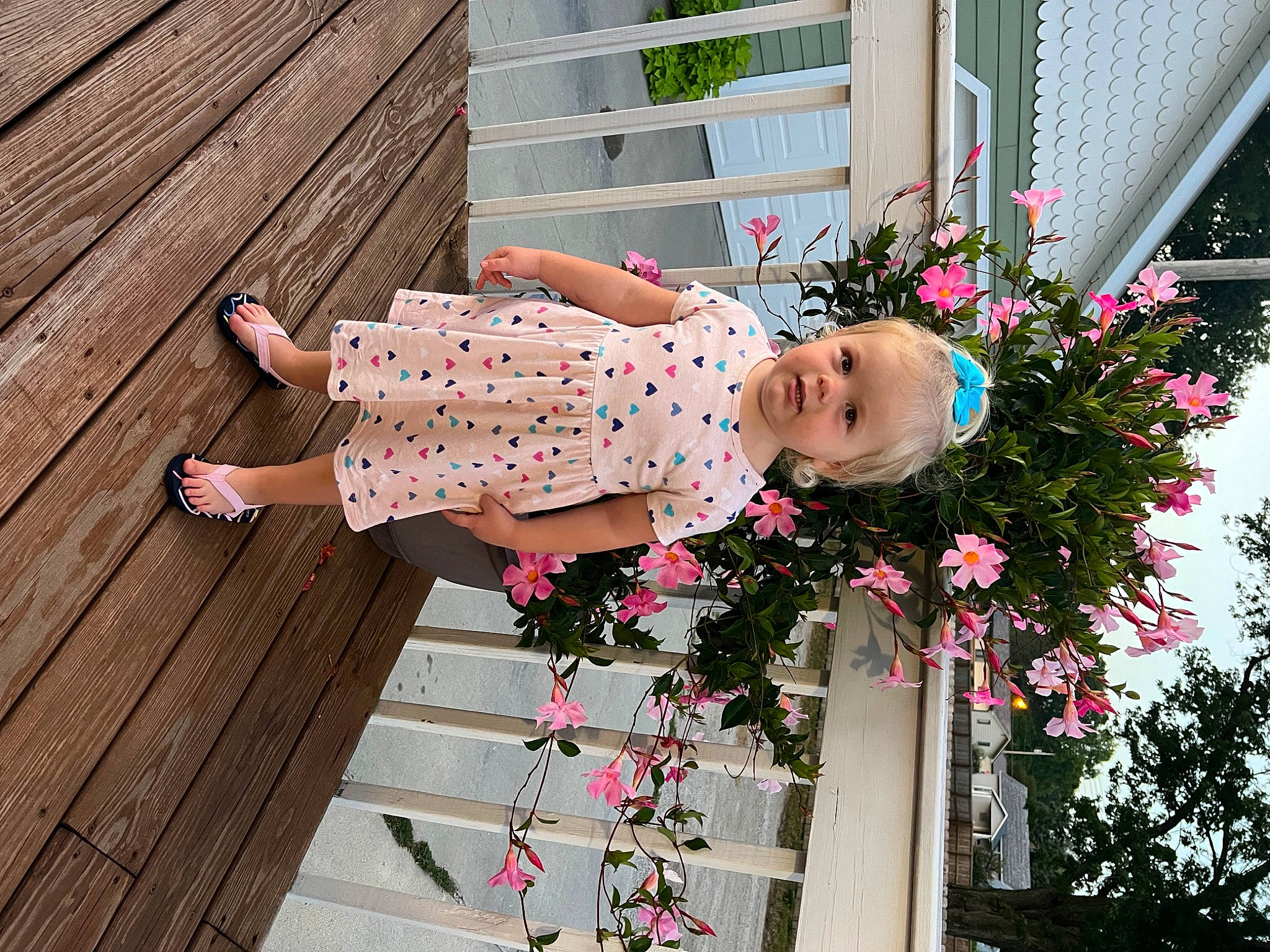 Kamrynn joined the competition — help win amazing prizes! baby_toddler_clothing, day_dress, flower, grass, happy, hardwood, house, leisure, magenta, pattern, person, petal, pink, plant, rose, rose_family, thigh, toddler, waist, window