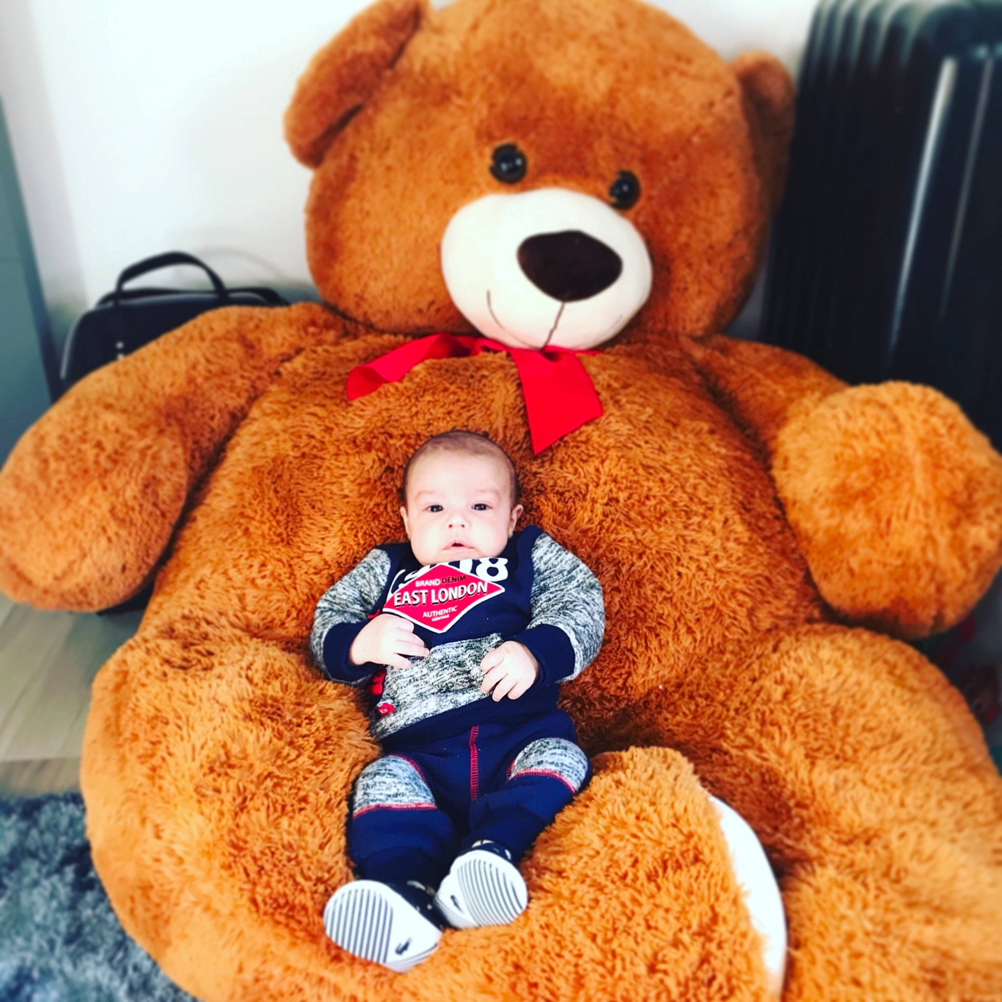 Flavio participe au concours pour gagner de l'argent avec cette photo : bear, child, comfort, person, play, plush, stuffed_toy, teddy_bear, toy