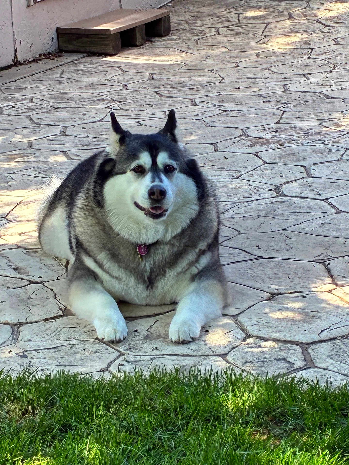Luna