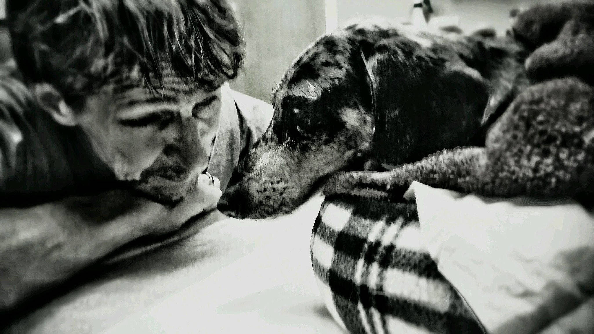 Wiener is registered to the contest to win money with this photo: black_and_white, canidae, carnivore, child, comfort, companion_dog, dog, dog_breed, ear, event, eye, fur, gesture, happy, jaw, monochrome, monochrome_photography, snout, sporting_group, style