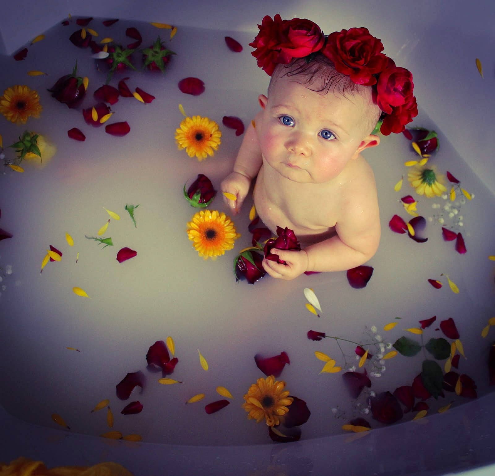 Maïna participe au concours pour gagner de l'argent avec cette photo : baby, baby_products, baby_toddler_clothing, child, cut_flowers, fictional_character, flower, happy, headband, headpiece, magenta, pattern, pedicel, person, petal, pink, plant, room, rose, sweetness