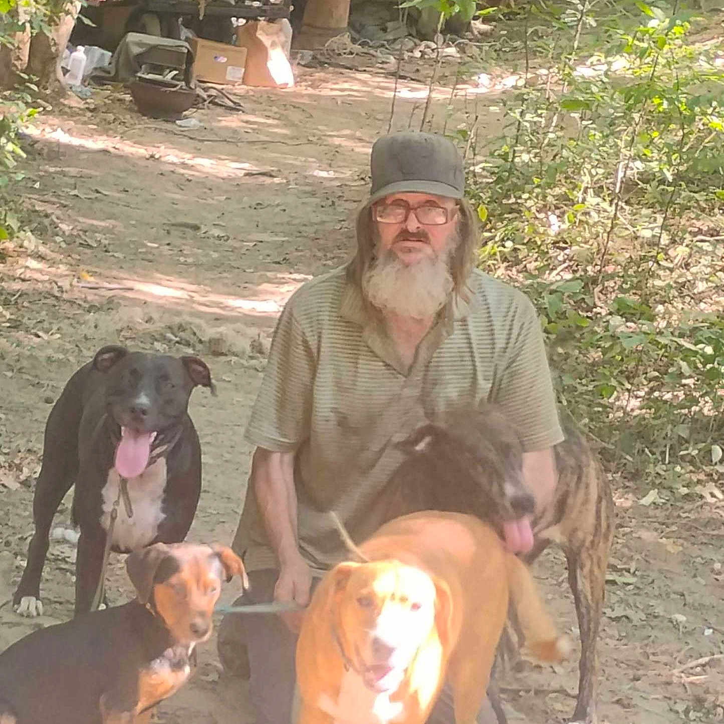 Solar System is registered to the contest to win money with this photo: animal, beard, canine, cap, casual, companion, dirt_path, dog, dogs, forest, friendship, glasses, leaves, man, nature, outdoor, pets, sunlight, trees, walking