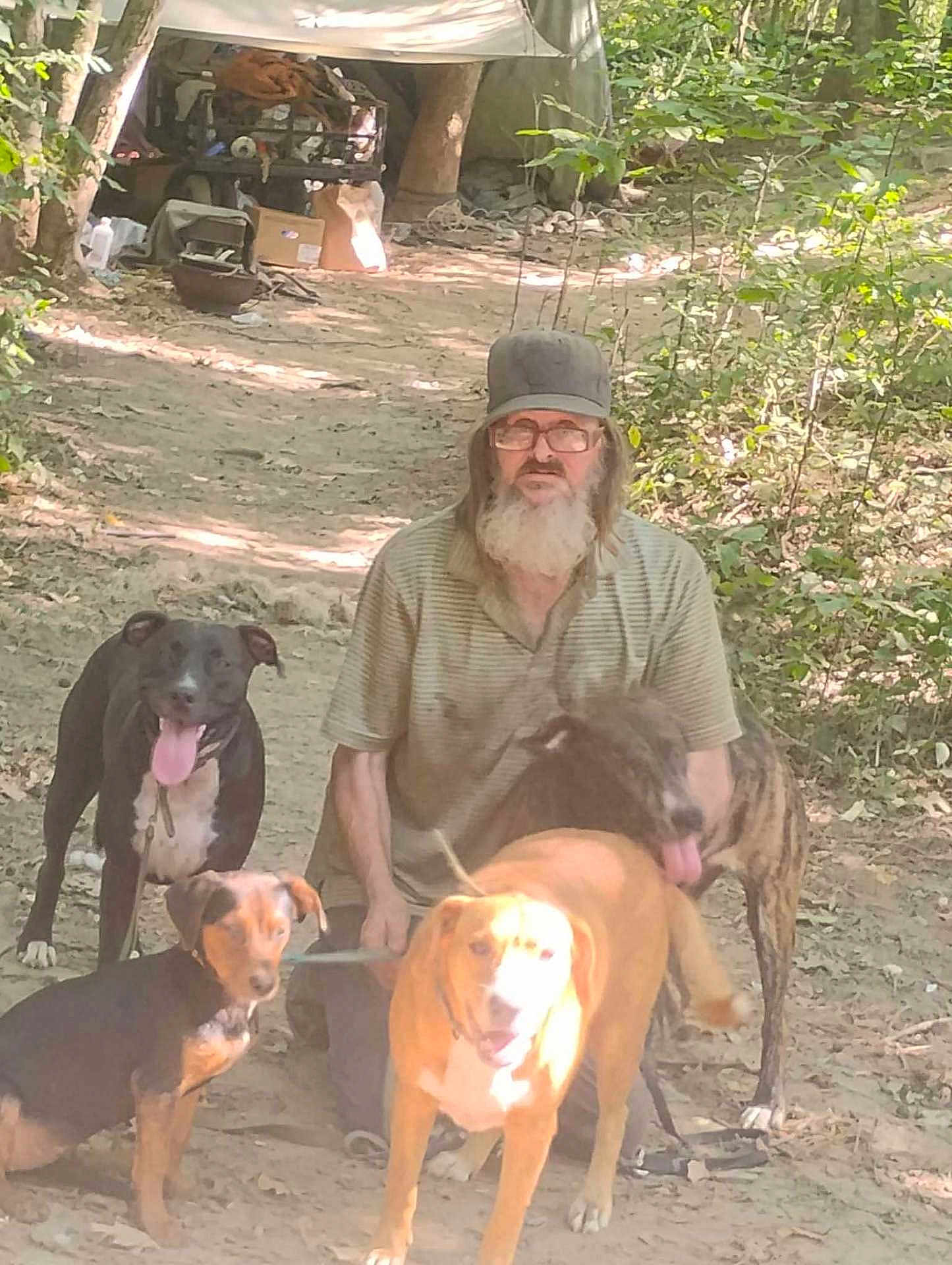 Solar System is registered to the contest to win money with this photo: man, beard, glasses, cap, dog, dogs, outdoor, forest, dirt_path, sunlight, trees, leaves, pets, animal, walking, nature, canine, friendship, companion, casual