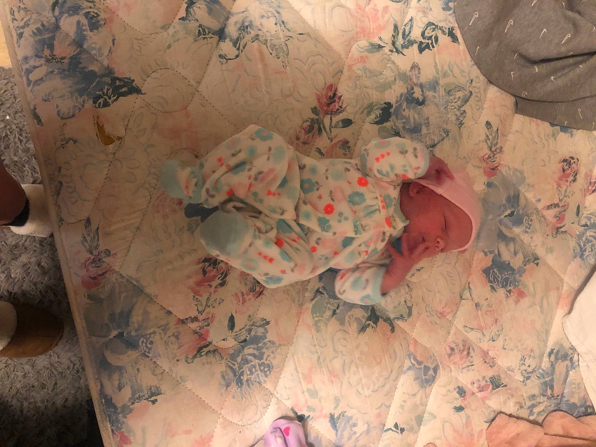 Rose joined the competition — help win amazing prizes! art, baby, bed_sheet, bedding, bedtime, child, comfort, head, human_body, human_leg, illustration, linens, pattern, person, pink, room, skin, sleeve, textile, toddler