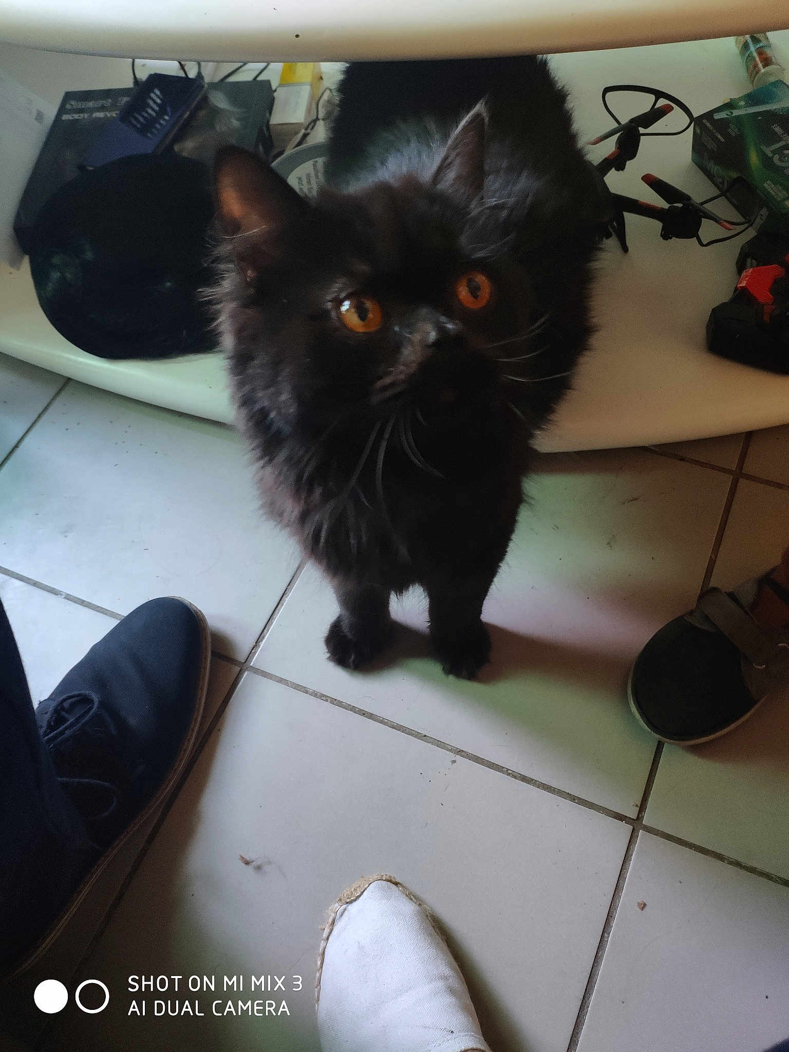 Ziggy