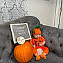 baby, pumpkin, baby_costume, orange_clothing, couch, gray_furniture, sign, celebration, smiling, indoor, holiday, halloween, child, cute, plush, sitting, headwear, decor, three_months, festive